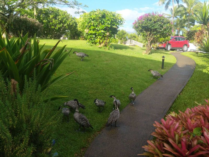 Nene outside villa